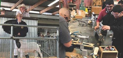 Picture of student with lamb and students working in shop